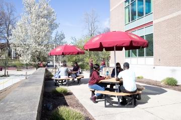 学生们在多诺万餐饮中心外的野餐桌上吃饭